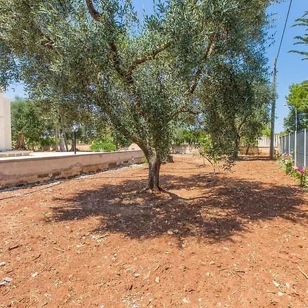 Dimora Elvira Villa San Vito dei Normanni